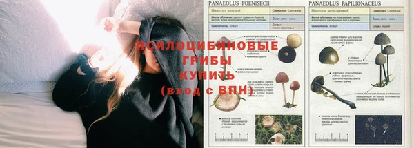 прущая мука Аркадак