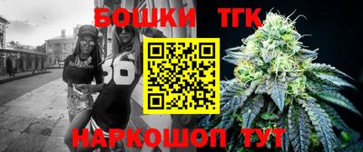 индика Баксан