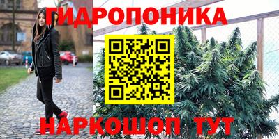 марихуана Ачхой-Мартан