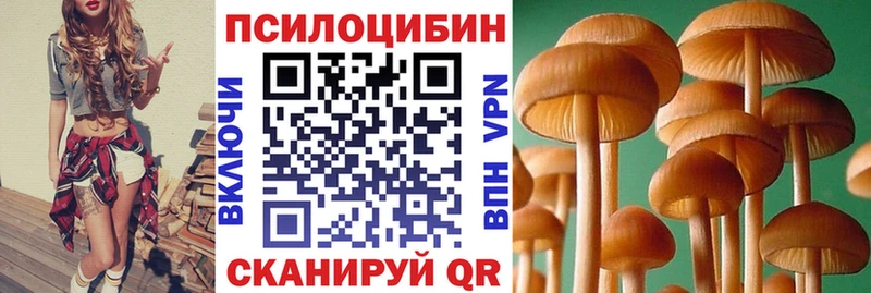 Псилоцибиновые грибы Psilocybe  хочу наркоту  Салават 