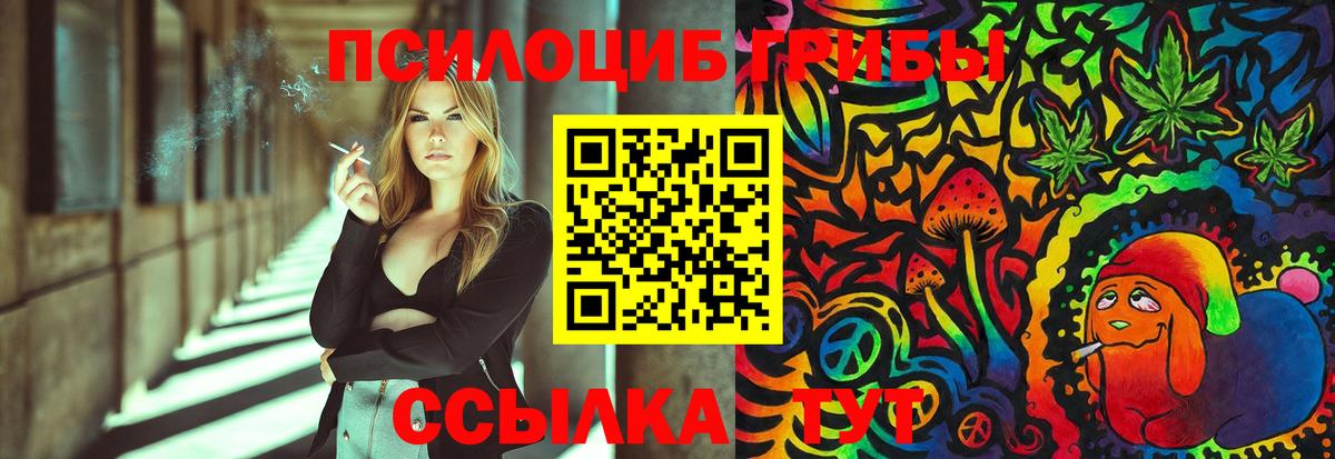 Галлюциногенные грибы Psilocybine cubensis Салават