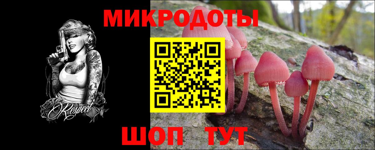 Салават  Галлюциногенные грибы GOLDEN TEACHER  Вход с VPN  Галлюциногенные грибы Magic Shrooms 